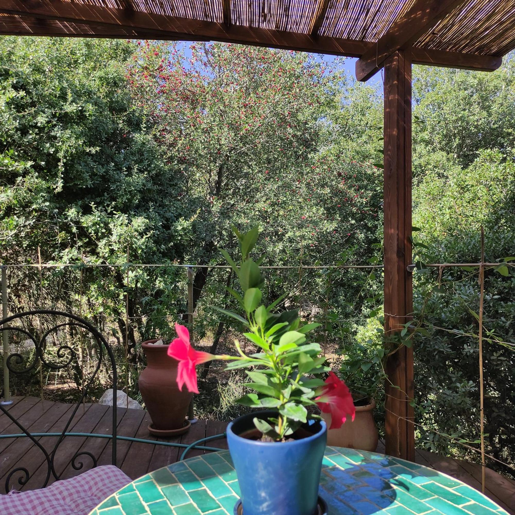 Love Frequency - יורט קסום במתת Extérieur photo